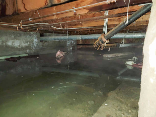 Carpet water damage restoration in OK