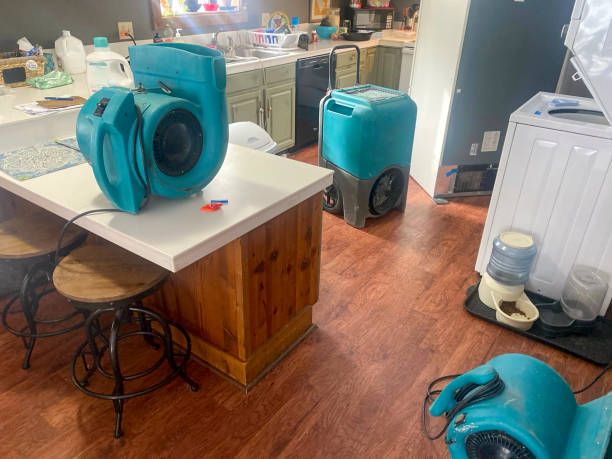 Best Water damage restoration company  in Enid, OK