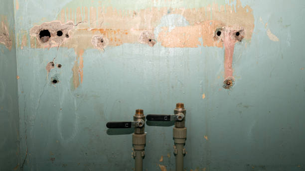 Best Carpet water damage restoration  in Enid, OK
