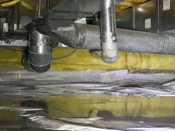 Best Mold removal after water damage  in Enid, OK