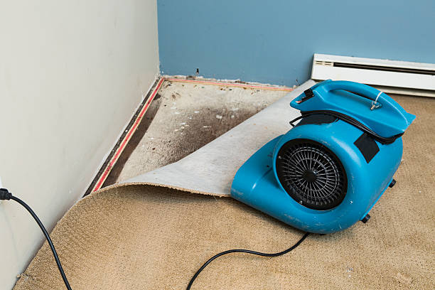 Best Water damage repair service  in Enid, OK